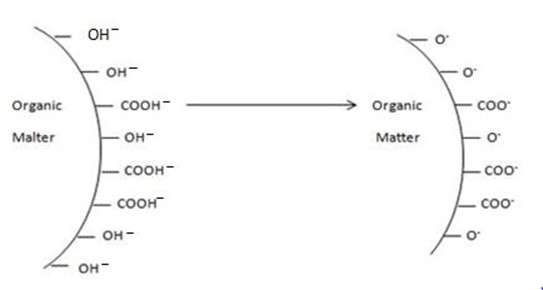 Form 6 Chemistry – SOIL CHEMISTRY