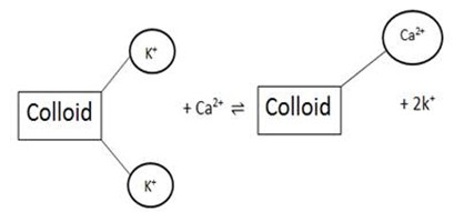 Form 6 Chemistry – SOIL CHEMISTRY | Afrisoft Scholars