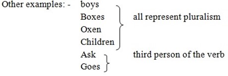 LANGUAGE ONE FORM 5 – WORD FORMATION