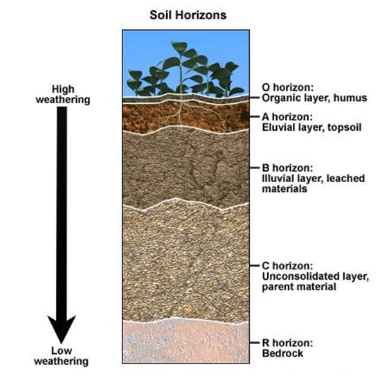 Form 3 Geography – SOIL