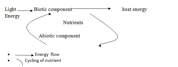 Form 6 Biology – ECOLOGY