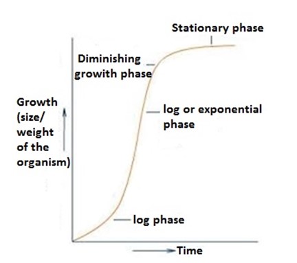 Form 4 Biology – GROWTH AND DEVELOPMENT 1