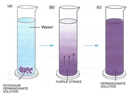 Form 2 Biology – TRANSPORT OF MATERIALS IN LIVING THINGS – 1 TRANSPORT IN ANIMALS