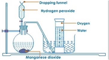 Form 2 Chemistry – OXYGEN