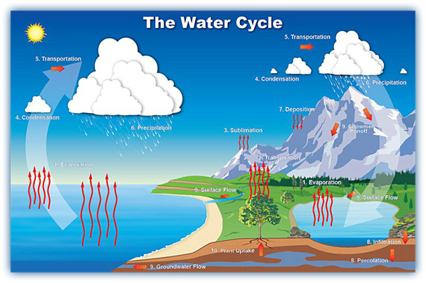 Form 2 Chemistry – WATER