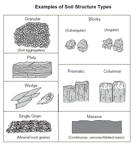 edu.uptymez.com